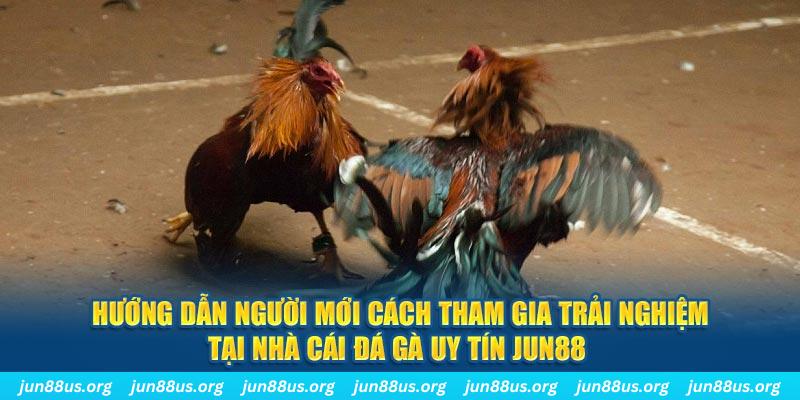 8s bet loi game dot kich ket noi may chu that bai