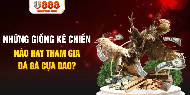 8s bet KA Bắn cá