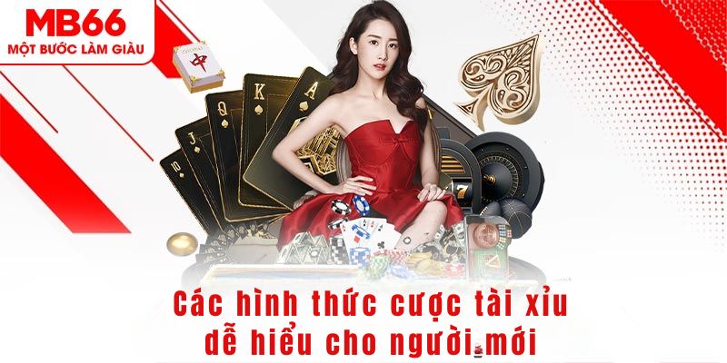 8s bet DG Trực Tuyến