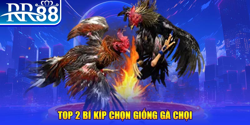 8s bet máy thu cước bắn cá