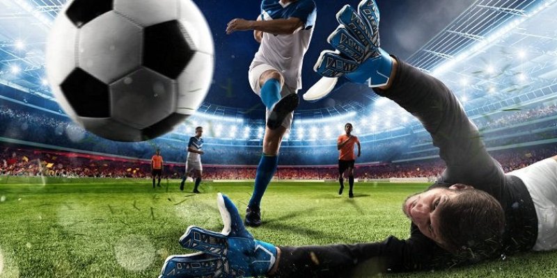 8s bet đăng nhập tiến lên miền nam