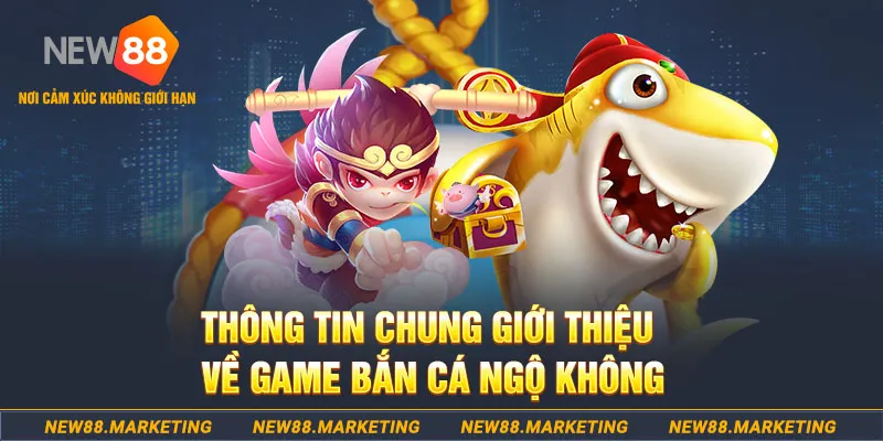 8s bet gà chọi c1