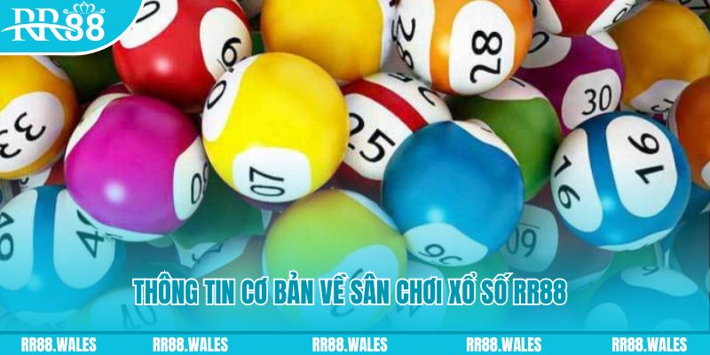 8s bet đá gà hôm nay