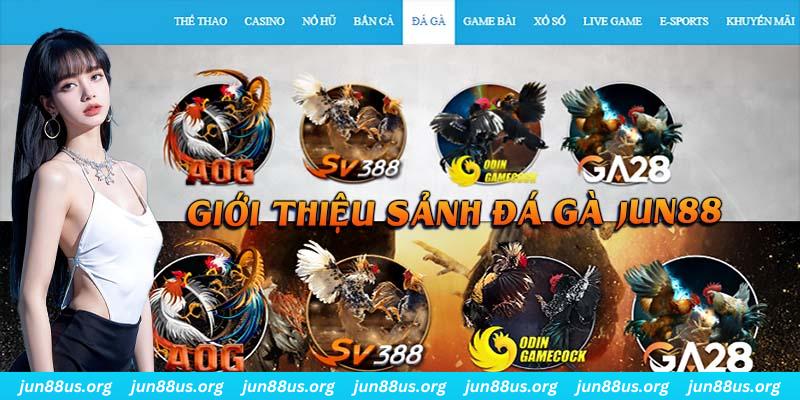 8s bet đá gà trực tiếp bình luận viên