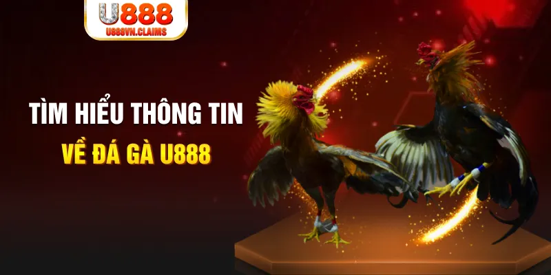 8s bet đăng nhập tiến lên miền nam hàng đầu