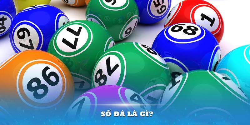 8s bet AOG Đá Gà