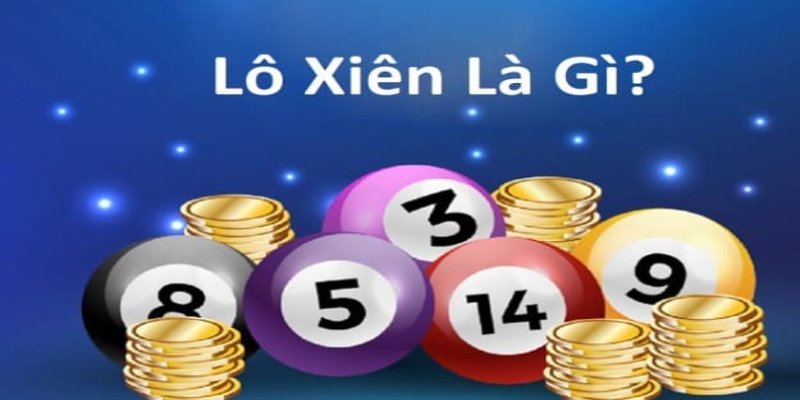 8s bet gà chọi hòa phong