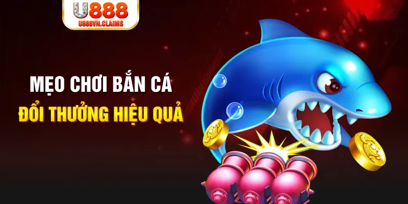 8s bet baccarat có hợp pháp không