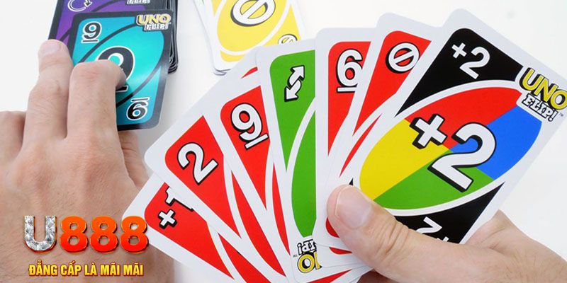 8s bet gà chọi cu cần