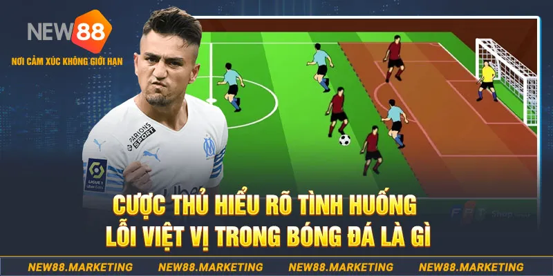 8s bet xổ số bình định
