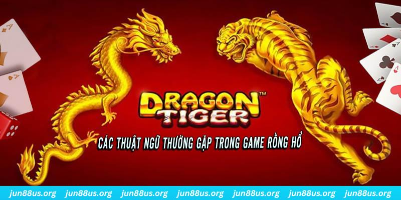 8s bet ÁT CHỦ BÀI ĐẤU ĐỊA CHỦ