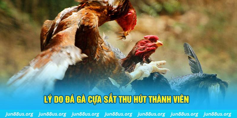 8s bet chiếm slot là gì