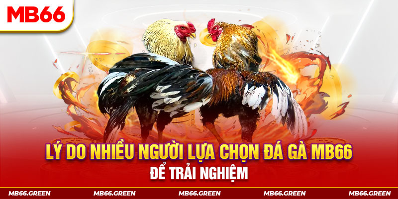 8s bet KA Điện Tử