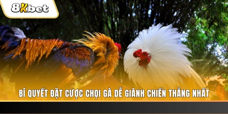 8s bet xổ số thứ hai hàng tuần