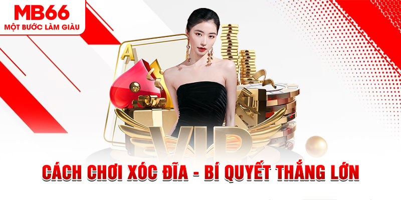 8s bet trực tiếp đá gà c1 hôm nay