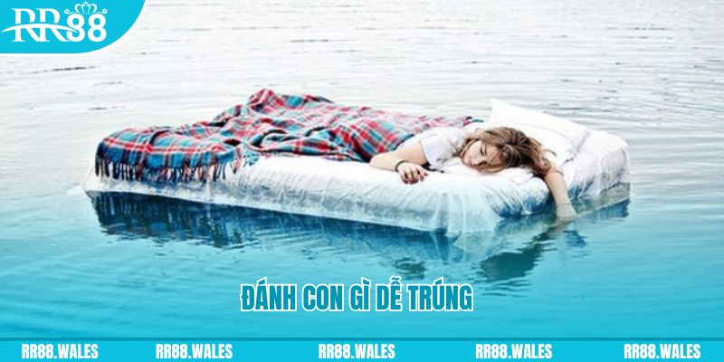 8s bet đăng nhập liêng hàng đầu