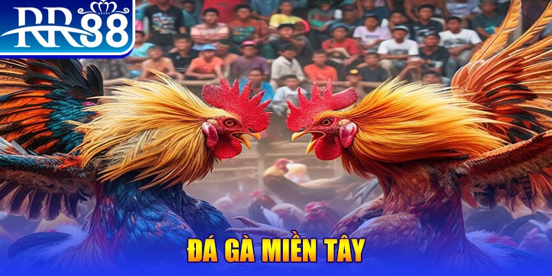 8s bet nổ hũ ai là gì