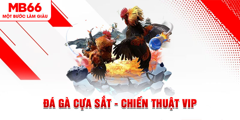 8s bet xổ số trực tiếp hôm nay