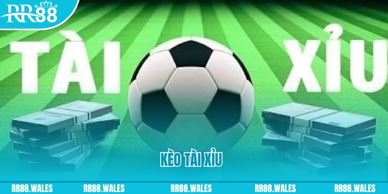 8s bet Giành Chủ Bull Bull